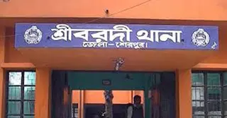 শেরপুরে পানিতে ডুবে দুই শিশুর মৃত্যু